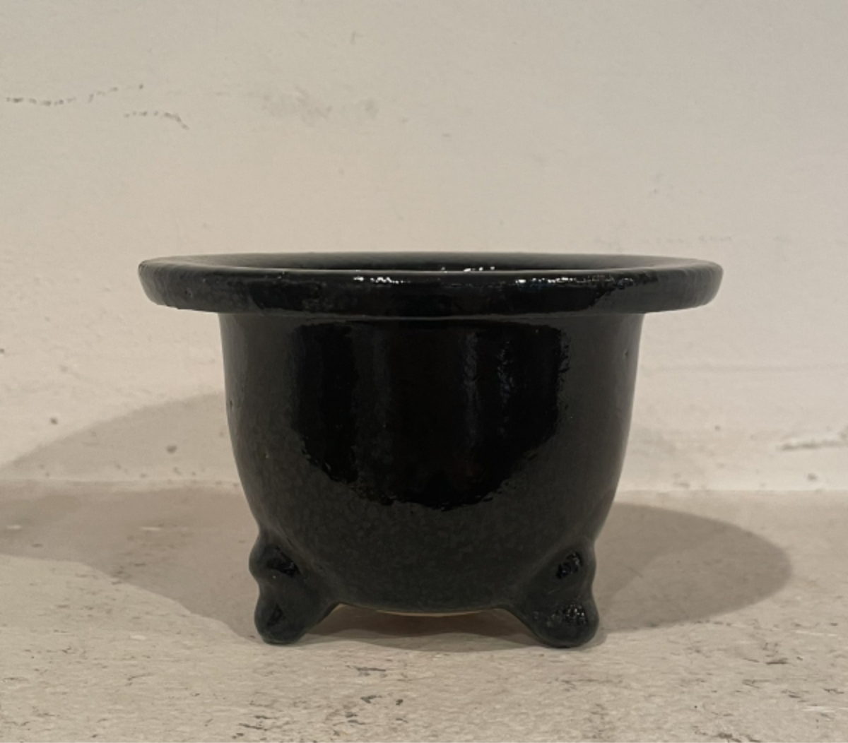 丸形おもと鉢 黒3.5号