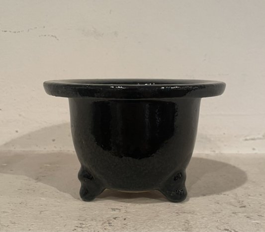 丸形おもと鉢　黒3.5号