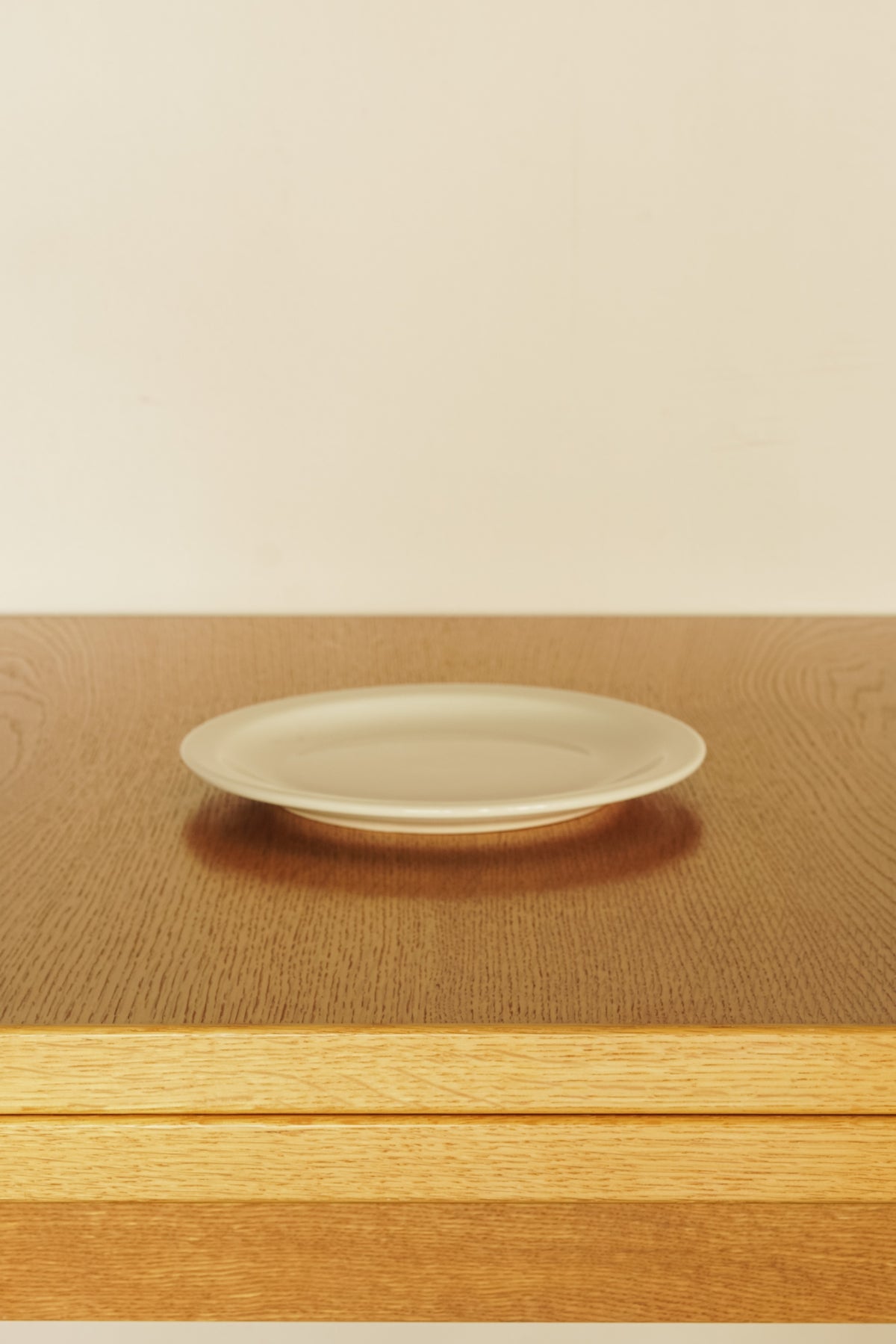 PLATE NR (L)22.8cm